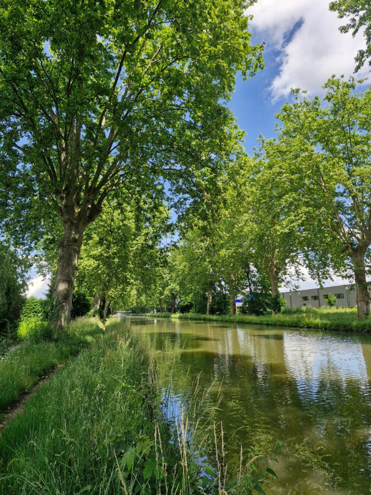 Gite-Appart Com' "Des Cimes Et Jardin" Illkirch-Graffenstaden Esterno foto